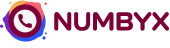 Numbyx logo